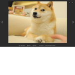 doge group and elon musk