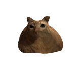 sigma cate