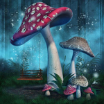 Lila’s Mushrooms