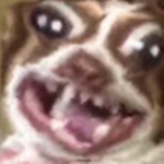 please join this anime group