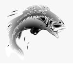 The Legion Of Fish