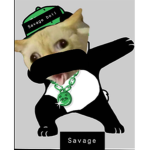 SAVAGE BOIIS