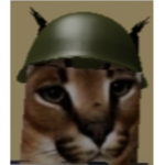 _Floppa Army_