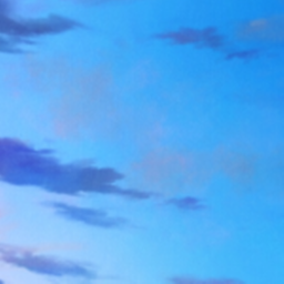 ✧