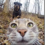 Cat Vomit Inc