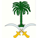 قوات التدخل السريع