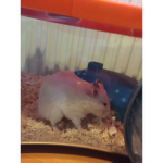 JackWeMissYou.