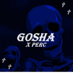 GOSHA x PERC