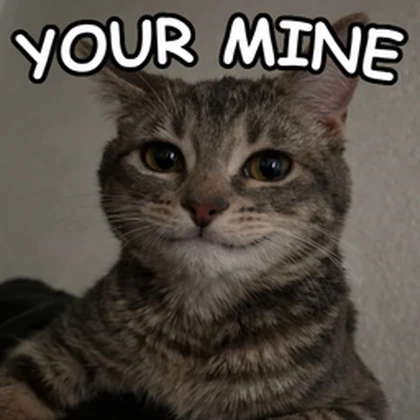Your Mine Studio Roblox group icon