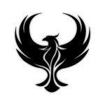 Black Birds Studios