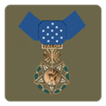 [USAR] United State's Army Medals.