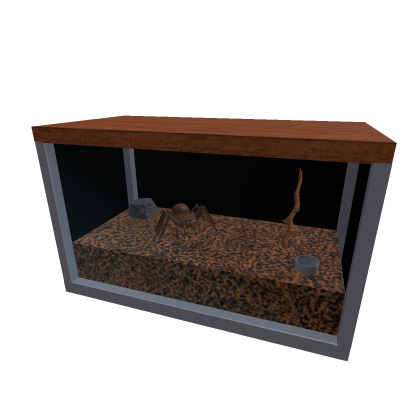 Tarantula Enclosure