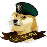 Special Forces of the Alliance