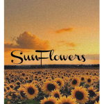 Sun FIowers