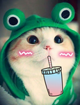 dobrak_lol