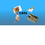 The Secret Life Of Cats Of Gaming Fan Group