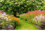 Parterre