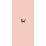 whoever joins is a butterfly