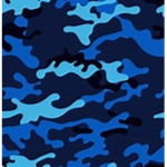 United States Marine Corps: Military Police