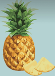 Tropical pineapples!!!