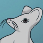 CraftingFoxes