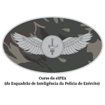 Esquadrão de Inteligência da Polícia do Exército