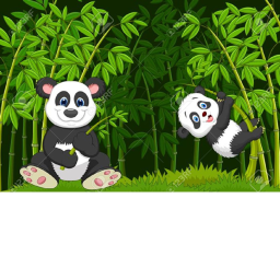Panda simulator!