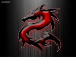Shuyuki Dragons