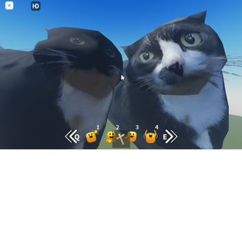 cat party