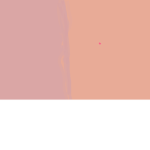 FAN OF BLACKPINK