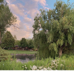 pho’s garden