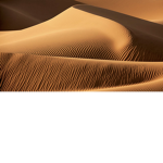 Dune bandits