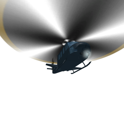 Air Support Unit