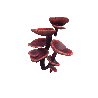 Fungi