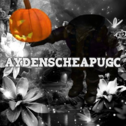 AydensCheapUGC