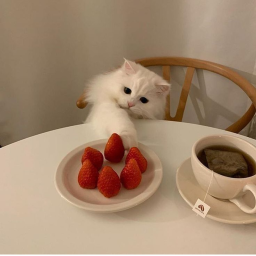 🍓