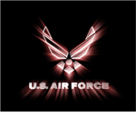 United States Airforce Divsion