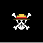 The Straw Hat Pirates :D