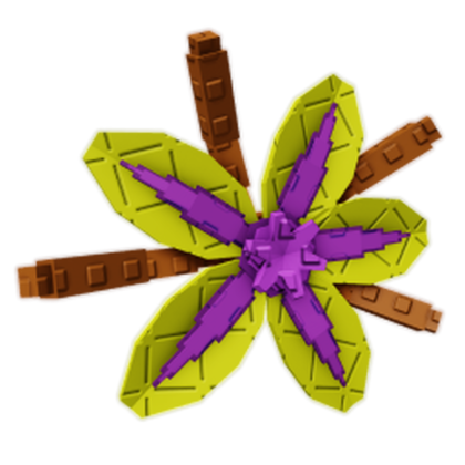 Suncrest Orchid produce image
