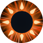 Blinding Opus