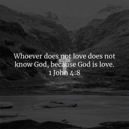 1 John 4:8
