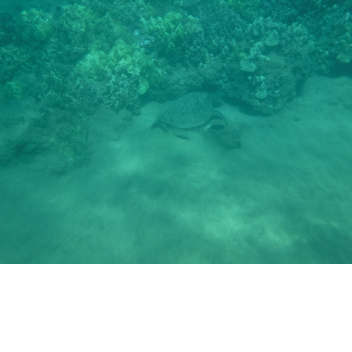 ####### Place on Roblox Test #