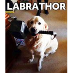 Puppygamer's