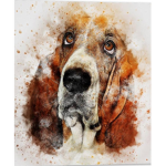 Basset hound crew