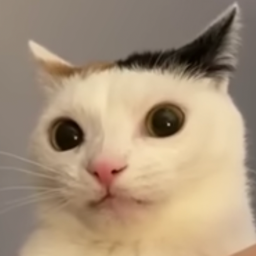 40%