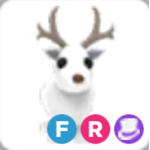 Arctic reindeers