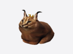 This is for piggy fans