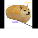 doggos people