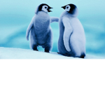 Cute penguin!!