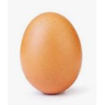 EGGY EGG EGG IS YUMMY